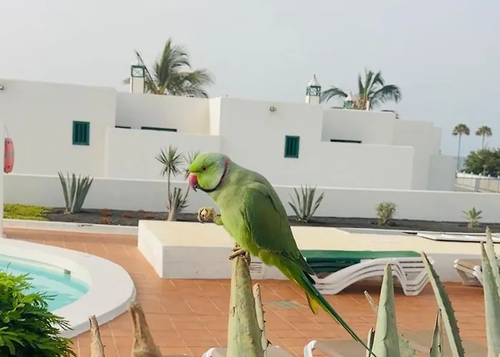 Doble Uve Ξενοδοχείο με διαμερίσματα *